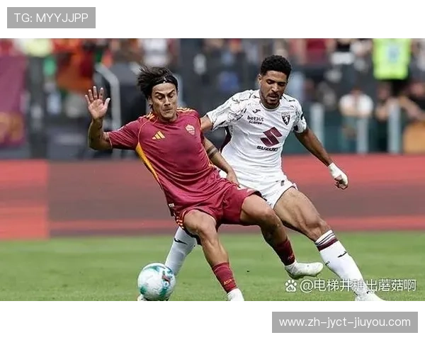 意甲足球队主场介绍及球场设施对比